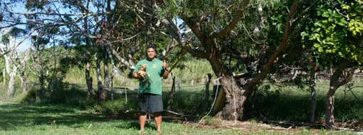 Calisto Palos: Photo Gallery